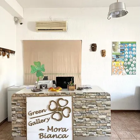 Gallery And Restaurant Muravera